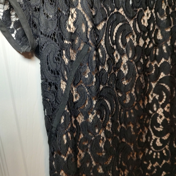 AnnTaylor Loft Size 6 Elegant Dress Women New Years Eve Black Lace Nude Underlay - Picture 2 of 9